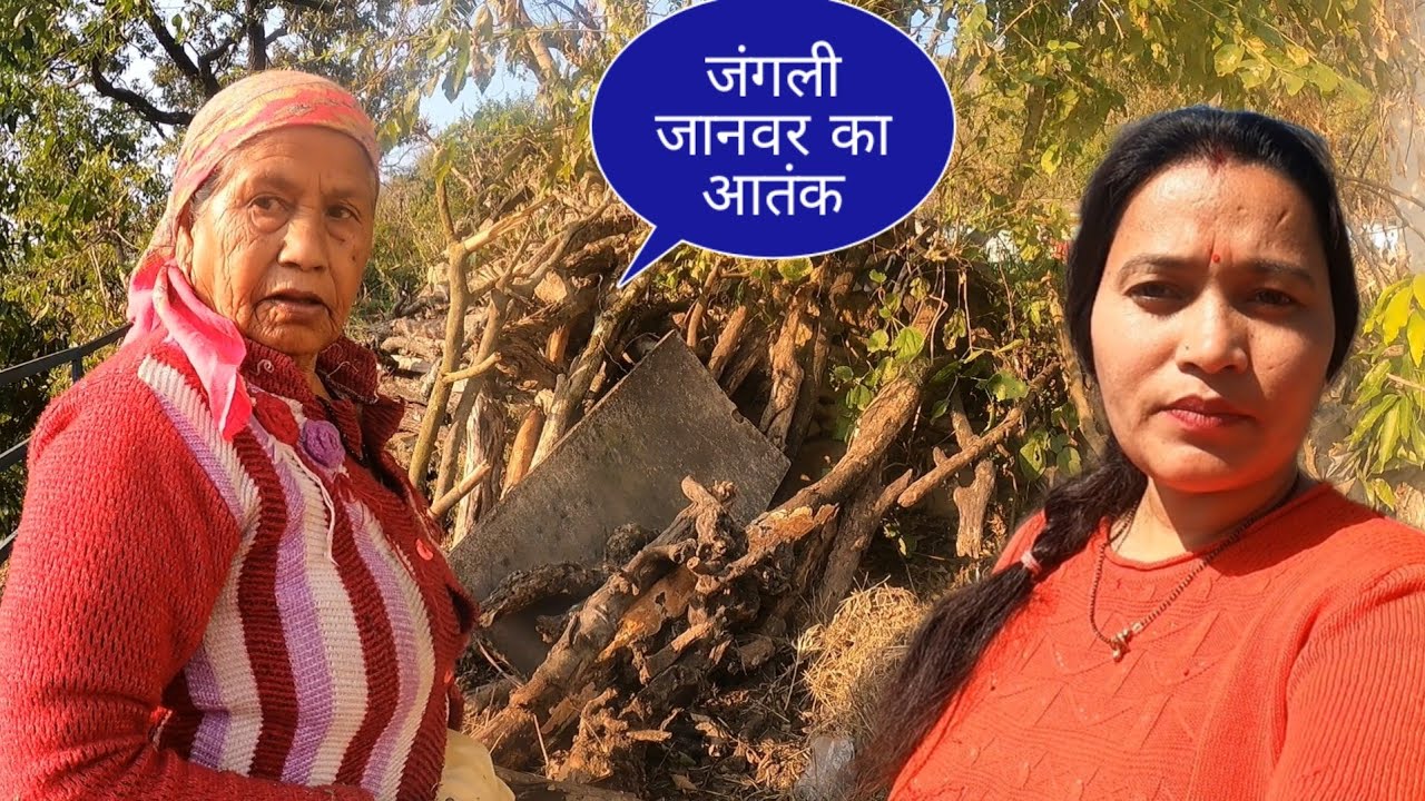 आज सुबह सुबह सासुमा हो गई बहुत गुस्सा ऐसा नुकसान हो गया हमारा @pahadivloggerritika 