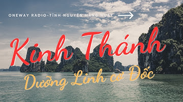 Oneway Radio | Tĩnh Nguyện Hằng Ngày 23/09/2023 | Kinh Thánh