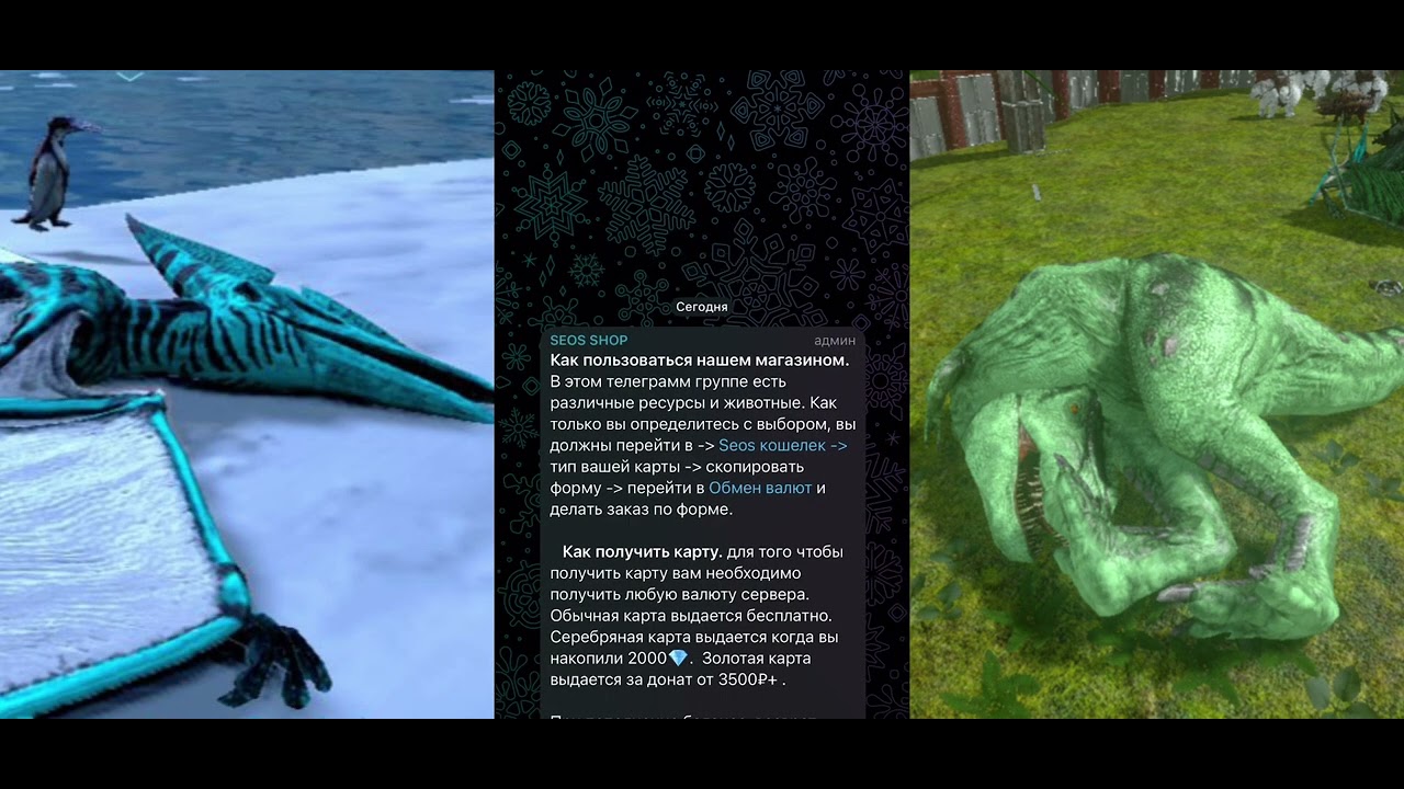 Как работает новый SEOS SHOP и как делать заказы 