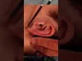 How to clean your ears  #asmr #ear #耳掃除 #shorts