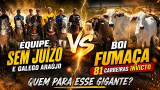 DRONE 81 CARREIRAS BOI FUMAÇA Turma de Vaqueiros Mirins fizeram Bonito