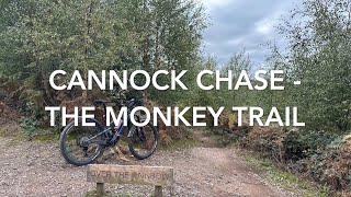 Cannock Chase  - The Monkey Trail, October 2025
