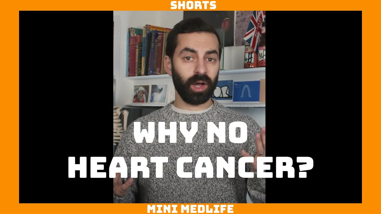 Why Don't People Get Heart Cancer? 