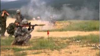 Task Force East 2010