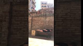 Chinese Plank (face down)