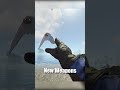 Everything Being Added To Rust This Wipe (May)