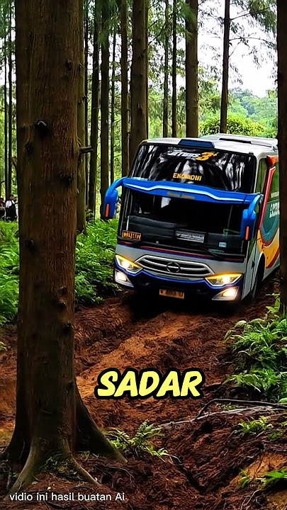 Bus Sugeng Rahayu tersesat di hutan ‼️sopir mengaku jalan di tol arah Surabaya 😱#viral #shorts #bus
