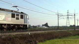 東北本線 単5561レ 重単 EH500-76+EF210-136 東鷲宮-栗橋にて