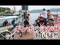 漁民騒然!ギンポを泳がせた瞬間とんでもない魚が食ってきた