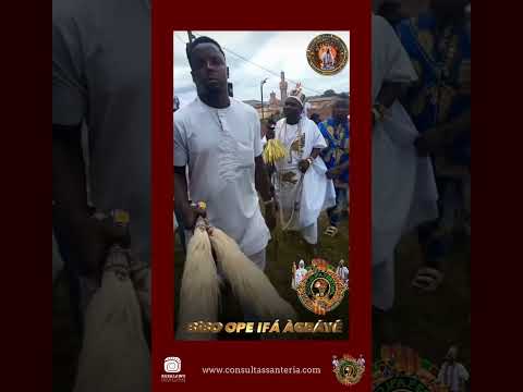 Ver Video