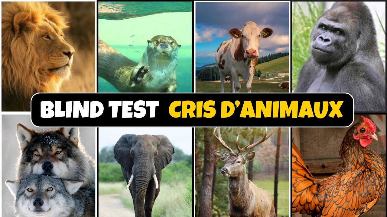 BLIND TEST : Devine l’animal avec son cri 🐾 (30 animaux)