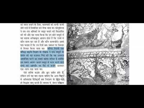 वीडियो: निर्माण कार्य के लिए अधिकतर किस बांड का उपयोग किया जाता है?