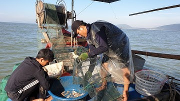 trải nghiệm đi nghề bát quái với những hải sản tươi ngon. tôm tít ghẹ bán bao nhiêu tiền một kg