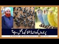 Parindon Ko Dana Dala Jaye Ya Insanon Par Kharch Kia Jaye Mufti Akmal ARY Qtv