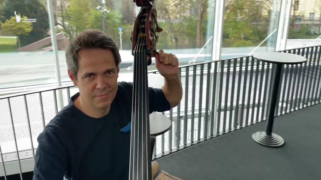 Instrumente - BAM erklärt - Der Kontrabass - Bamberger Symphoniker Education