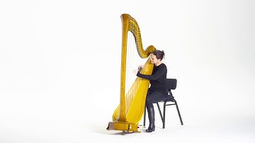 Slow-motion Harp - 8.2 Sound Waves Lesson 6