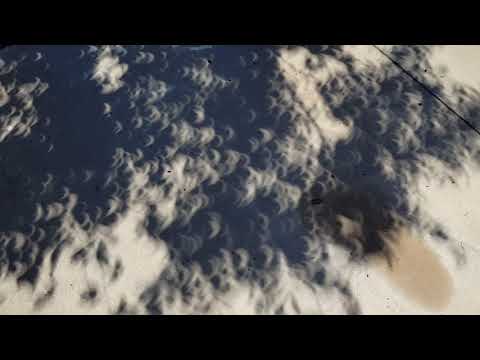 Solar eclipse pretty cool check it out