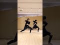 Dance coverjyp project cs luoyan  liang zexin  straykids 