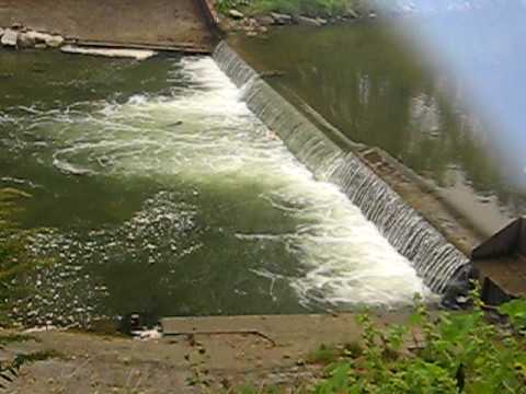 Thanks for everyone contributing to duffins creek fishing