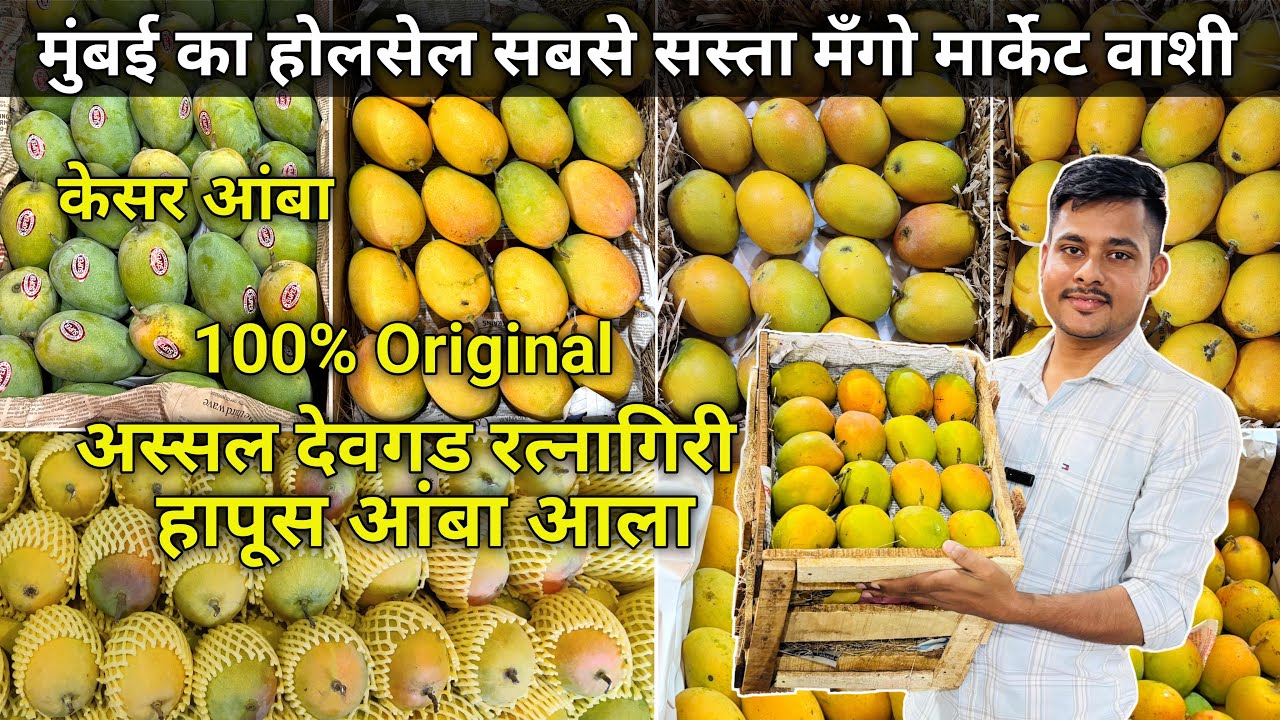 Mumbai Vashi Mango Market  Vashi Apmc Mango Market  Vashi Fruit Market  Vashi Wholesale Fruit Market