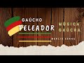 🔥🎶 Gaúcho Peleador – Márcio Senna  - Música Gaúcha  🎶🔥