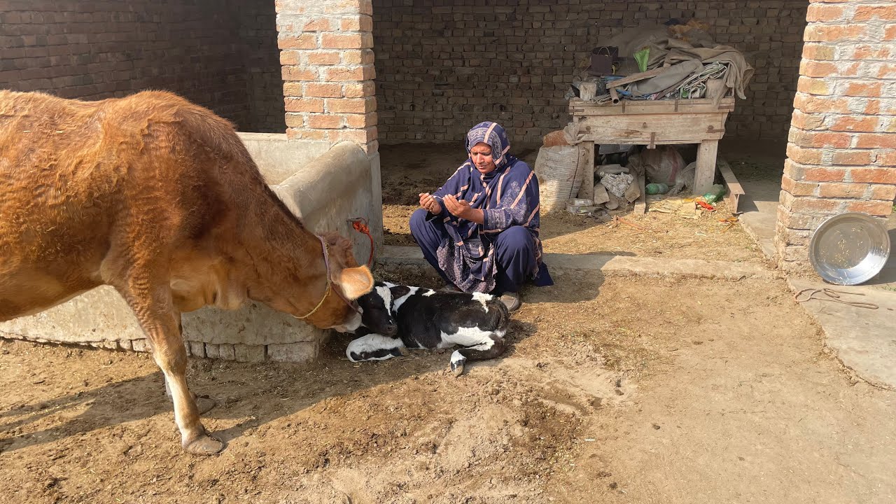 Alhamdulillah Eid Se Pahle Khushiyan hi Khushiyan🤲