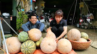 FULL VIDEO: With My Father Harvest Pumpkin, Crabs, Cassava, Guava, Bitter Melon Go To Market  Sell