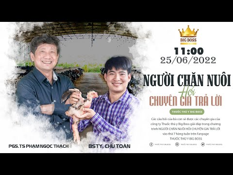 Video: Hỏi chuyên gia - Người chăn nuôi