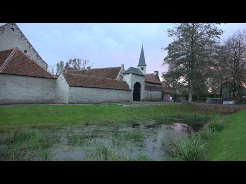 Video: Hoe Om Die Kuns Van Pragtige Spraak Te Bemeester