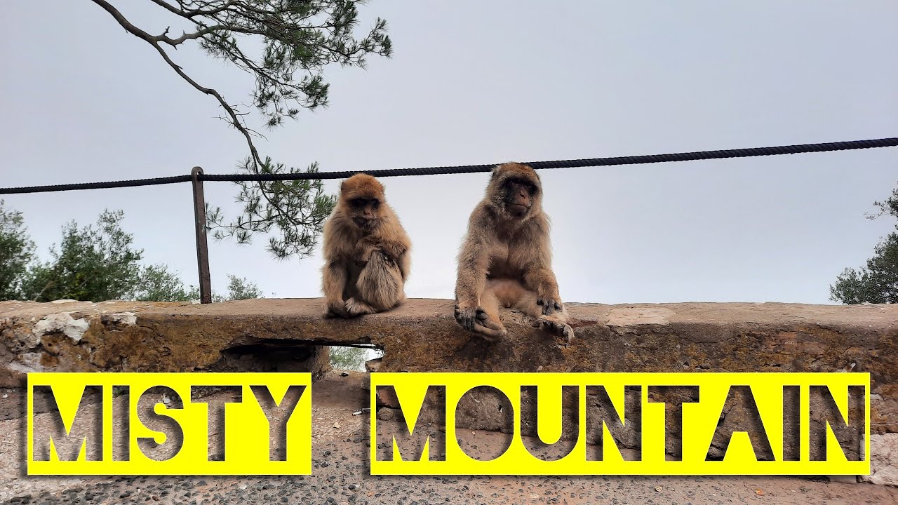 Going further up the Mountain