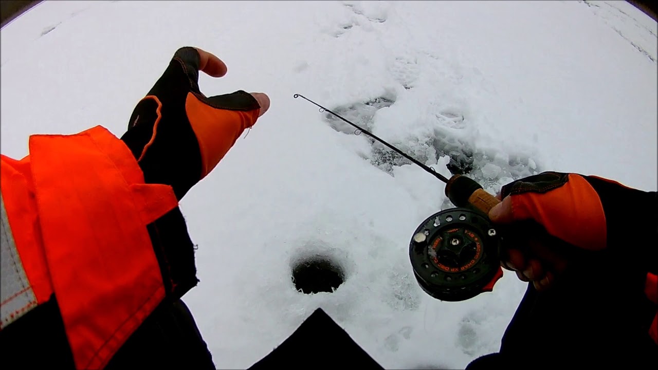 Ešerių žvejyba balansyru žiema.Oкунь на балансир зимой
