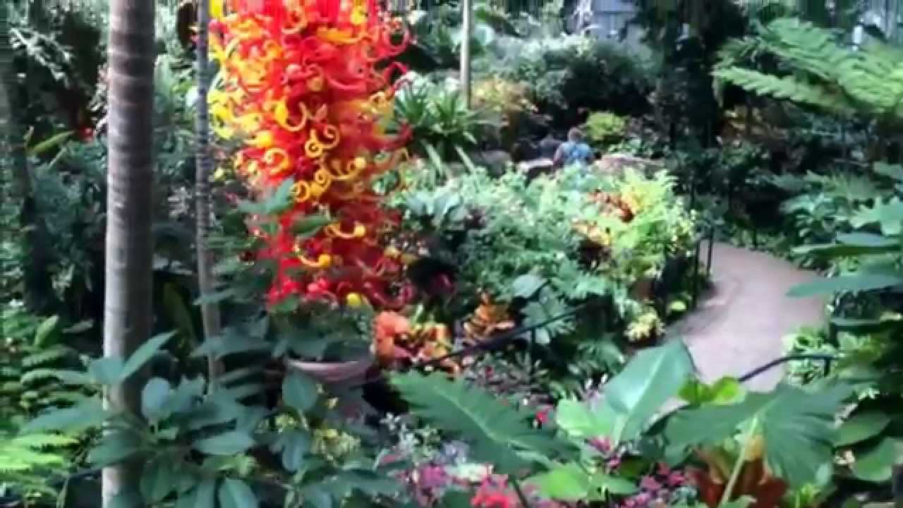 FRANKLIN PARK CONSERVATORY AND BOTANICAL GARDENS, BUTTERFLY EXHIBIT YouTube