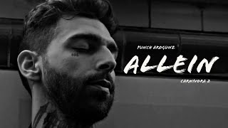 PUNCH AROGUNZ - ALLEIN (prod. by HADES &amp; CAPO BEATZ)