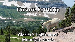 Unsure Footing