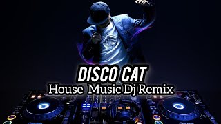 Disco Cat - House Music Dj Remix