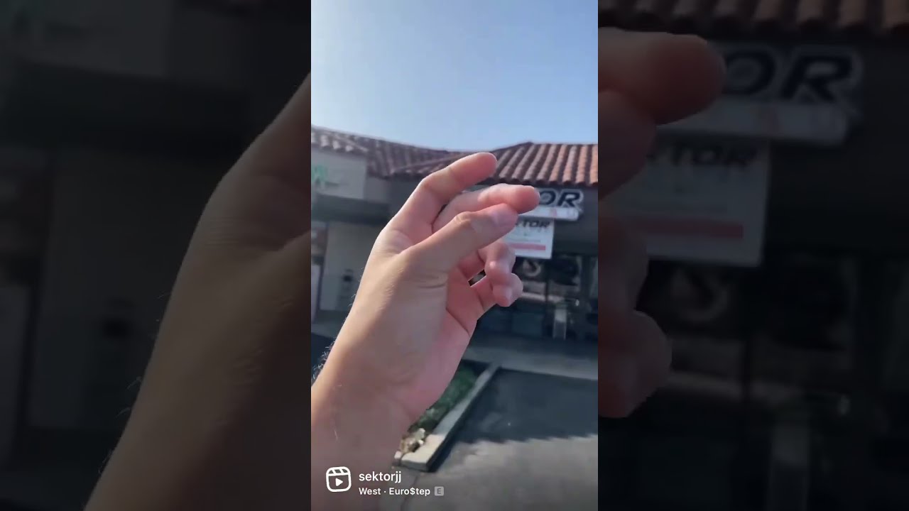Do You Guys Like The New Sign Shorts Shortvideo Jiujitsu Jiujitsulifestyle