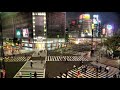いかれたbaby / fishmans (tokyo crowd remix)