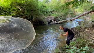Derede Serpme Balik Avi Tut Yakala Pi̇şi̇r - Creek Fishing Fish Cooking