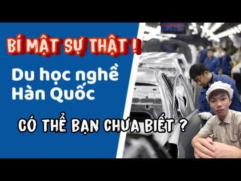 SỰ THẬT VỀ