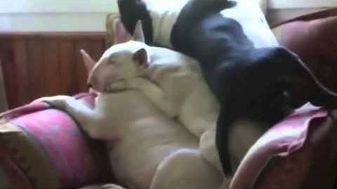 Epic Fails & Wins Compilation || Week 2 April part 4 || Video Amazement