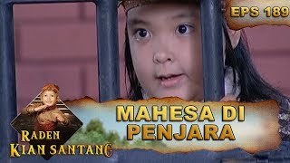 Mahesa Menyerah Bertarung Melawan Gagak Lumayung - Raden Kian Santang Eps 189 Part 1