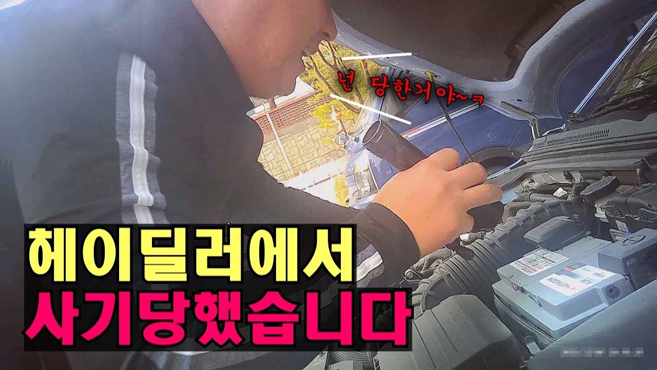 사기꾼들이 판치는 헤이딜러의 충격적인 실체... 직접 당해봤습니다