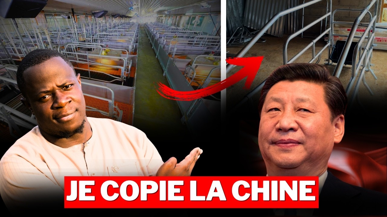 Voici comment je vais copier la chine pour gagner des milliards en Afrique