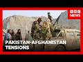 Pakistan defence minister says country in 'open war' with Afghanistan after strikes | BBC News