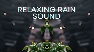 [1H] Relaxing Rain Sound | Meditation | Studying | Sleeping