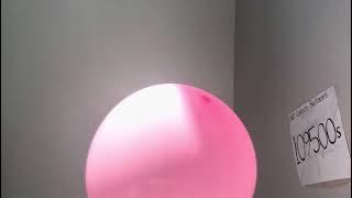 Balloon episode 🎈109538