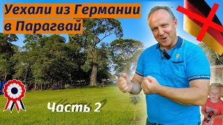 Купили 2 гектара земли и строят оазис.