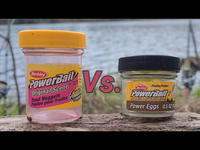 PowerBait Power Eggs Vs. Trout Nuggets! (Bottom Fishing Trout) 