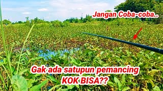 Mancing liaran || Spot sakral tak terjamah pemancing,mari kita coba || mancing umpan lumut