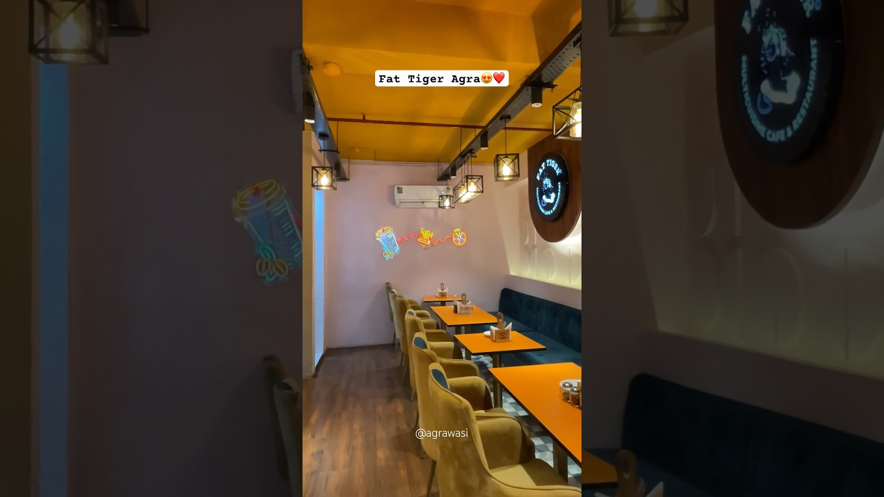 Fat Tiger, Agra❤️✨ 